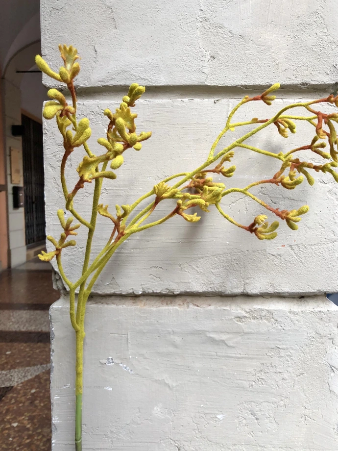 ramo giallo artificiale