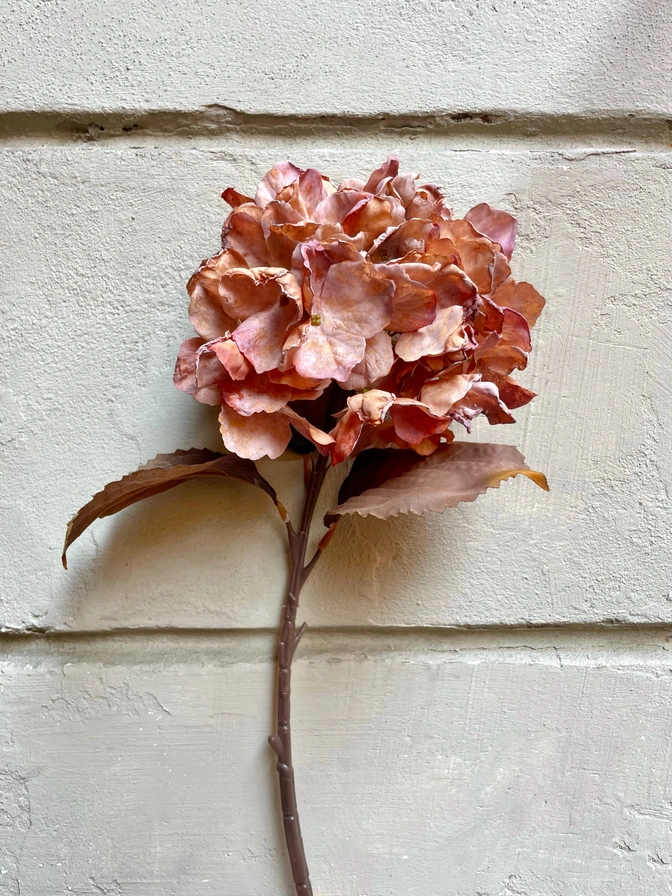 Bouquet di ortensie viola e rosa - immagine 4